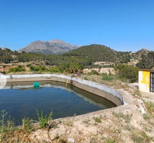 Rustic farm for sale in Finca rústica en Callosa d'En Sarria , Callosa d'En Sarria thumbnail 2