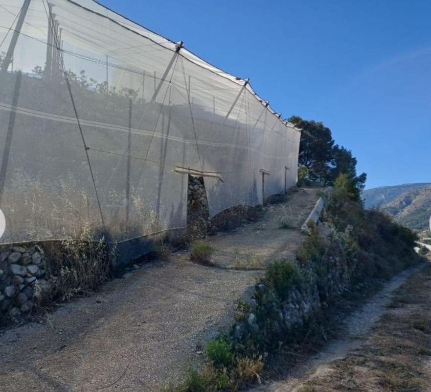 Продажа загородного участка в Finca rústica en Callosa d'En Sarria , Каллоса д'Эн-Саррия photo 3