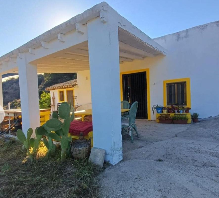Продажа загородного участка в Finca rústica en Callosa d'En Sarria , Каллоса д'Эн-Саррия photo 5