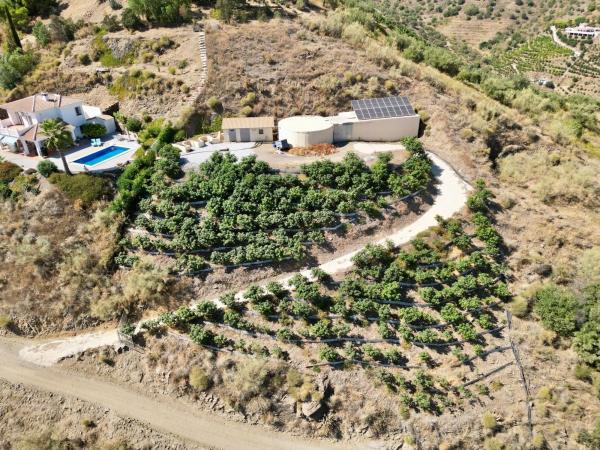 Casa o chalet independiente en Sayalonga photo 3