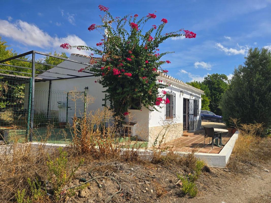 Properties for sale and rent in Spain photo 4