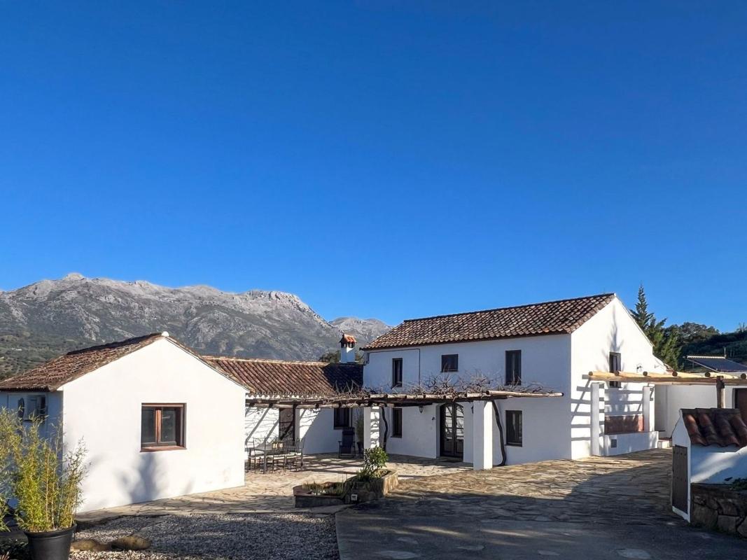 Properties for sale and rent in Spain photo 3