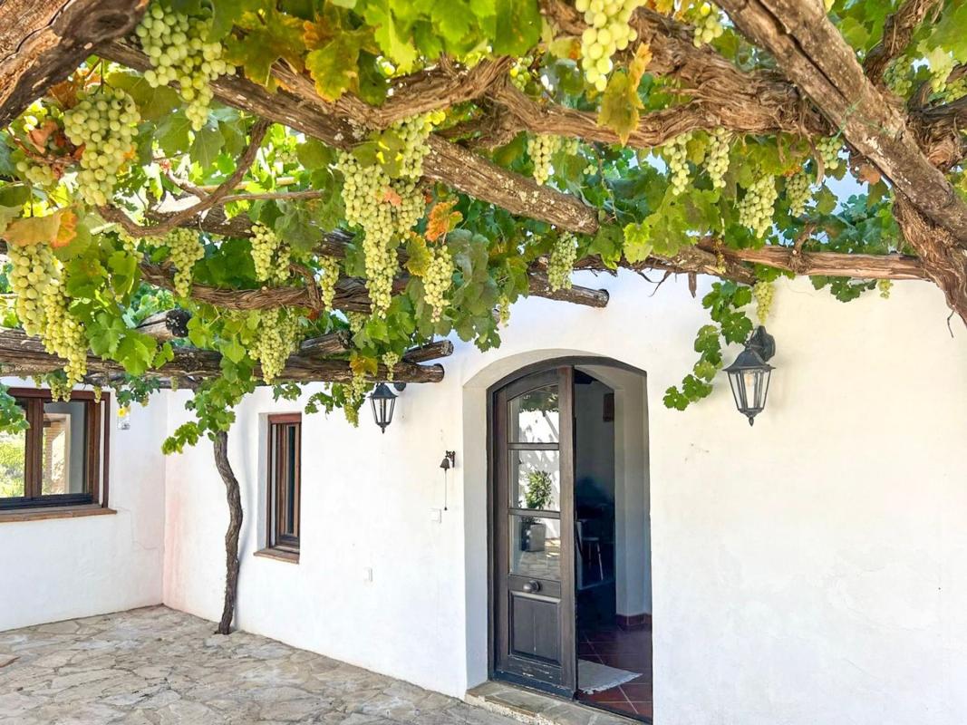 Properties for sale and rent in Spain photo 4