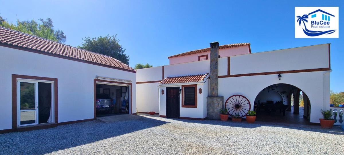 Properties for sale and rent in Spain photo 3