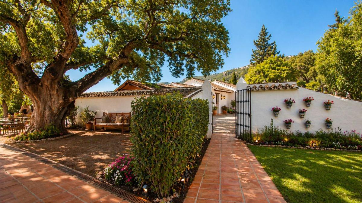 Sprzedaż działki rolnej w Finca rústica en Ds Diseminado Suelo Polígono 28 Parcela 2 La Manga. s/n, Casares, Casares , Casares photo 5