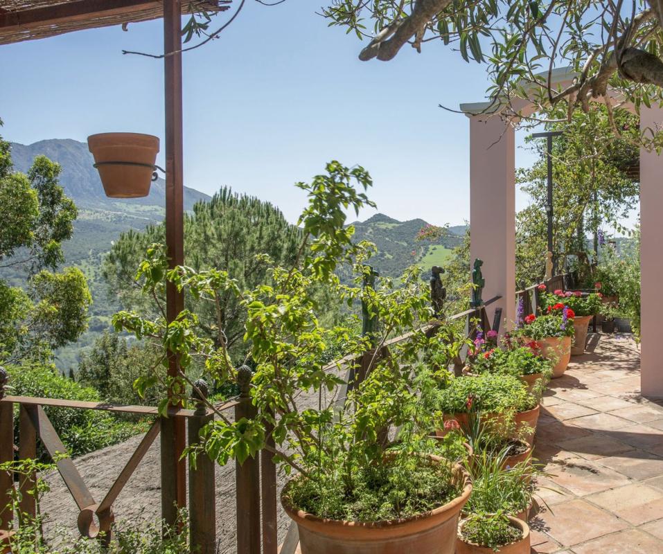 Properties for sale and rent in Spain photo 1