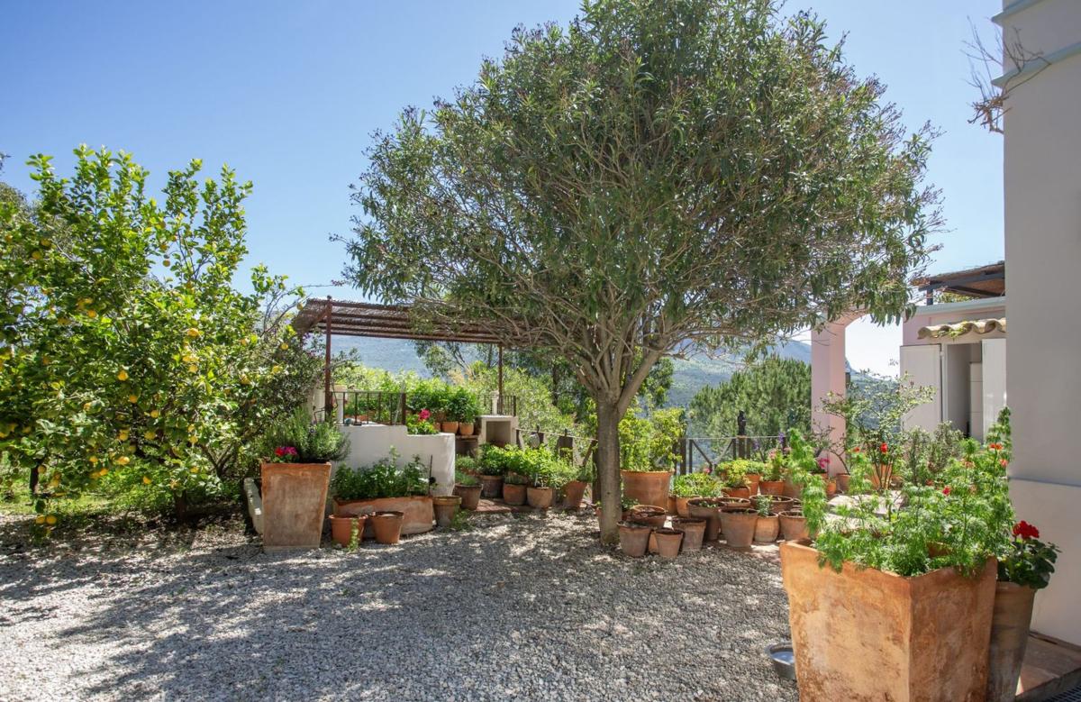 Properties for sale and rent in Spain photo 4