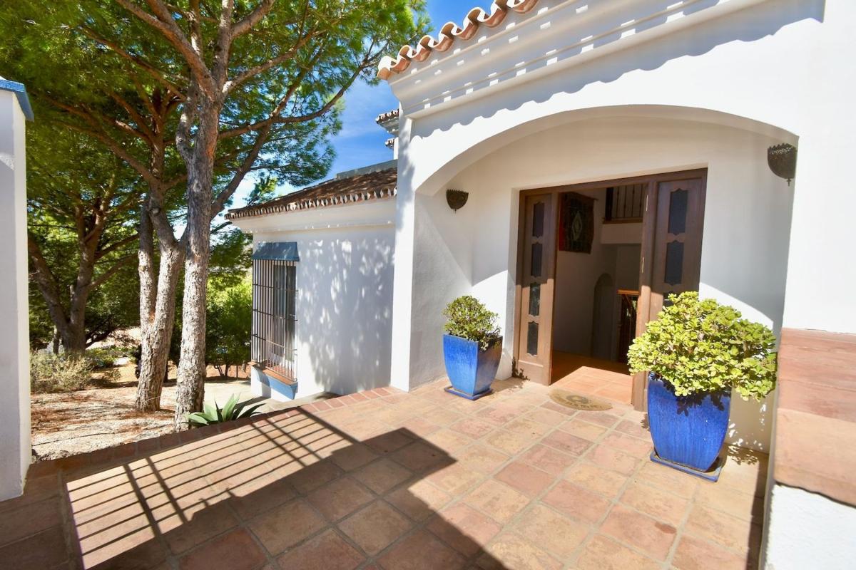 Properties for sale and rent in Spain photo 3