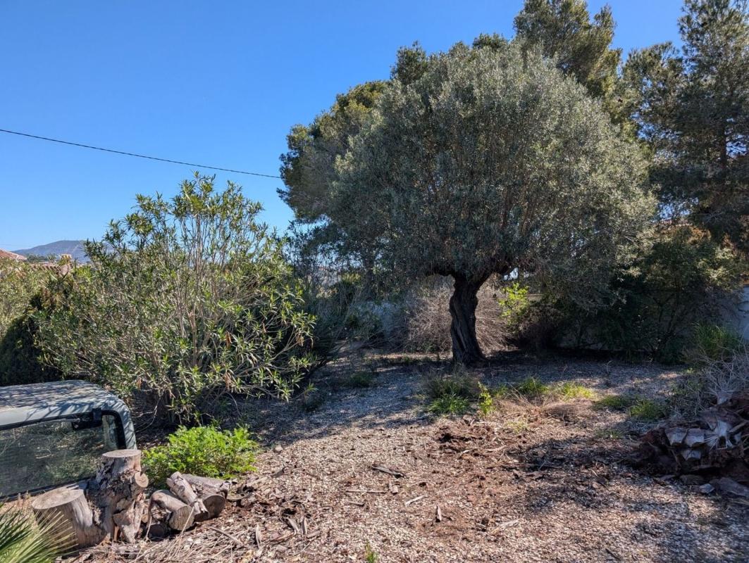 Działka na sprzedaż w Benissa, Alicante photo 5