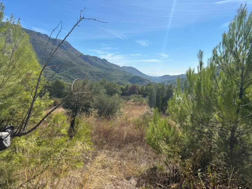 Land for sale in Beniarda, Alicante photo 1