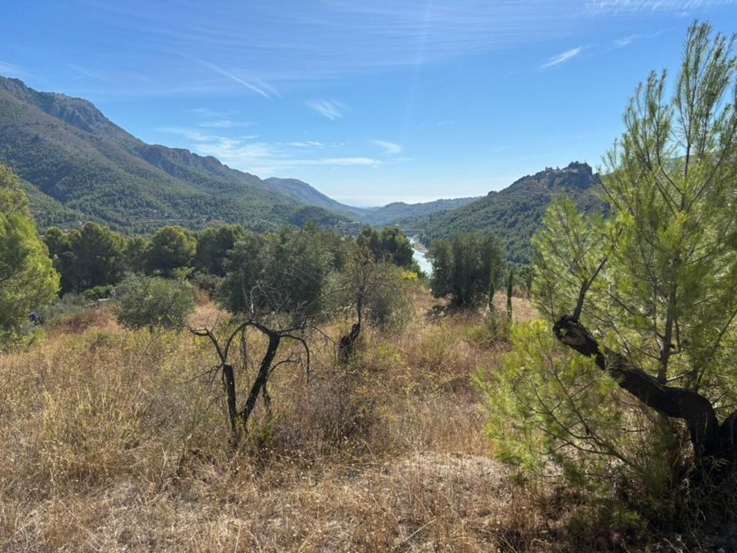 Land for sale in Beniarda, Alicante photo 3