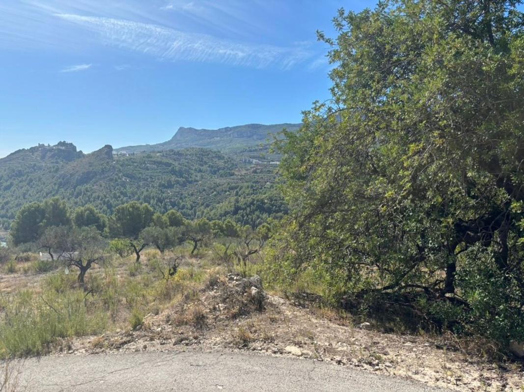 Land for sale in Beniarda, Alicante photo 5