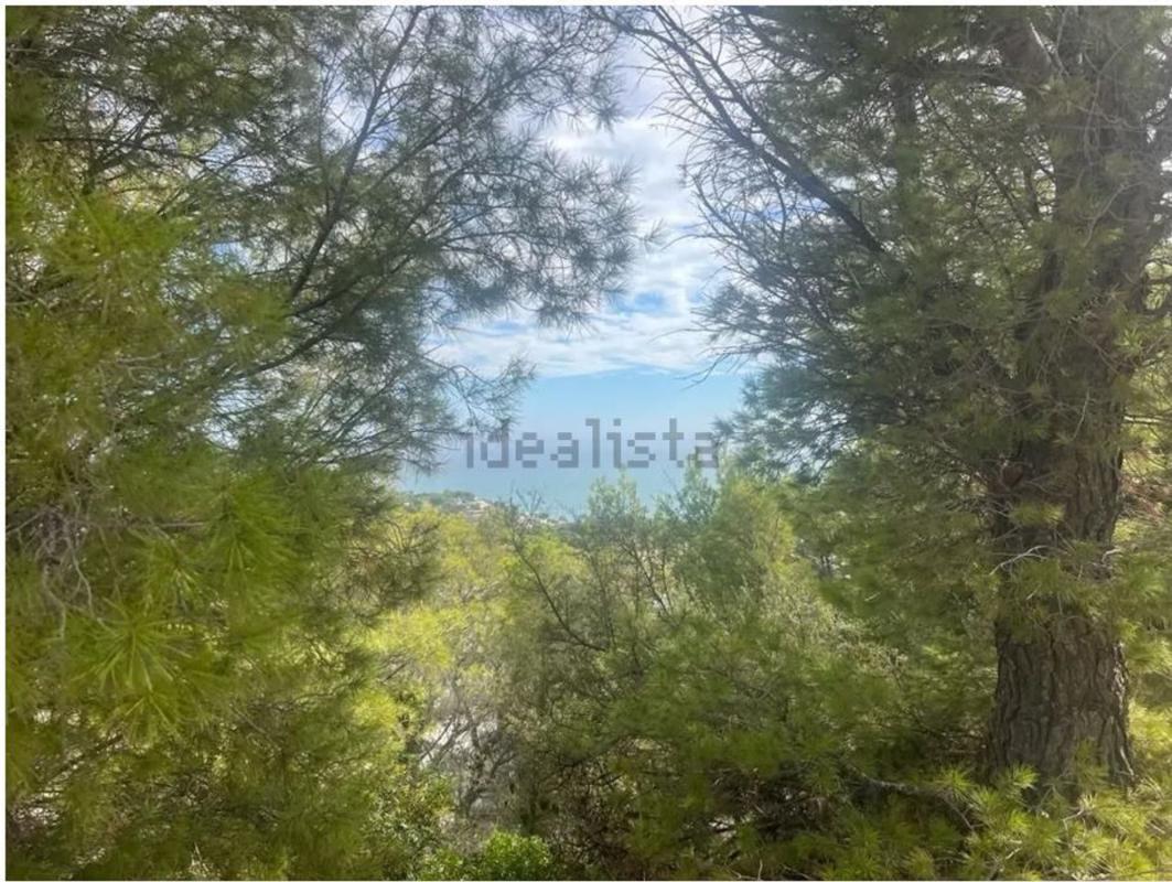 Land for sale in Altea, Alicante photo 4