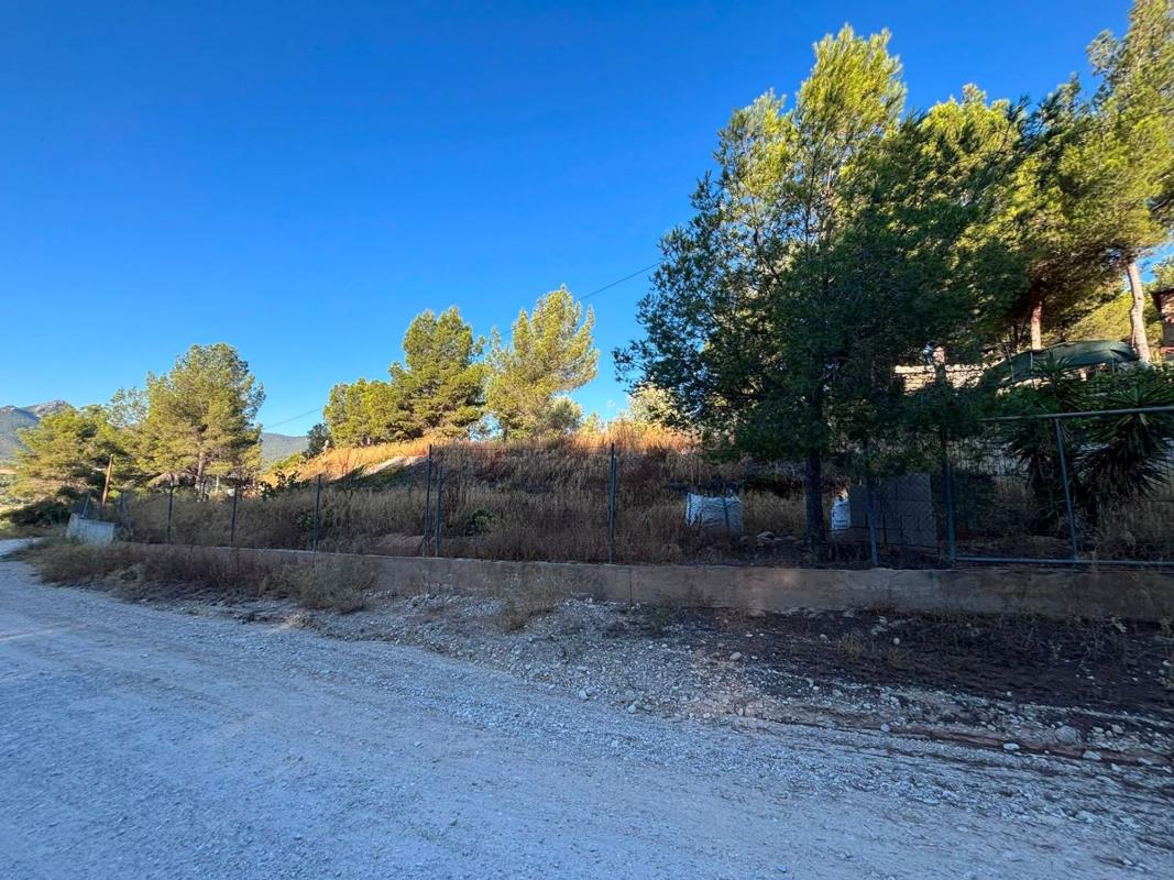 Terreno en venta en Tibi, Alicante photo 5