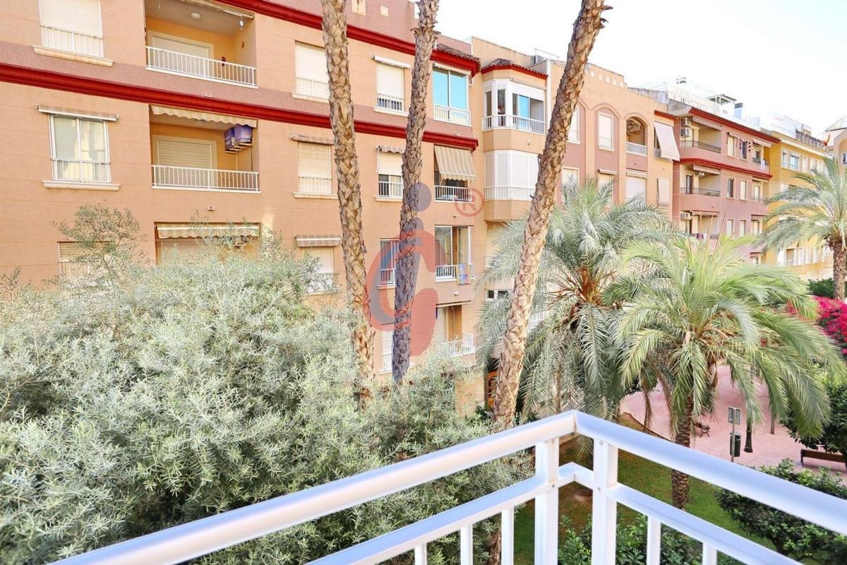 Sale of apartment in Piso en Calle la Pau, 41, Las Viñas, Guardamar del Segura, Guardamar del Segura
photo 4