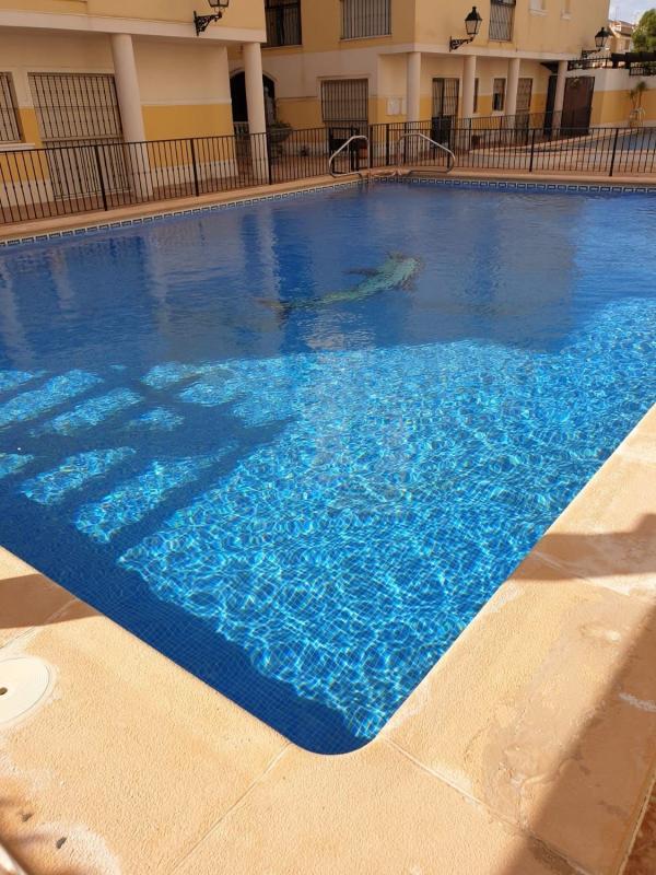 Venta de piso en Piso en Calle Madrid, Formentera del Segura, Formentera del Segura
photo 1