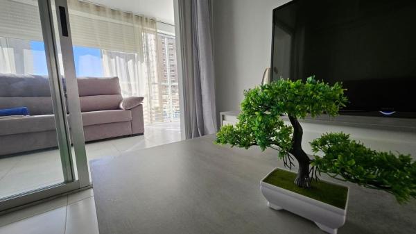Продажа квартиры на Piso en Playa de Levante, Benidorm, Бенидорм
 photo 4
