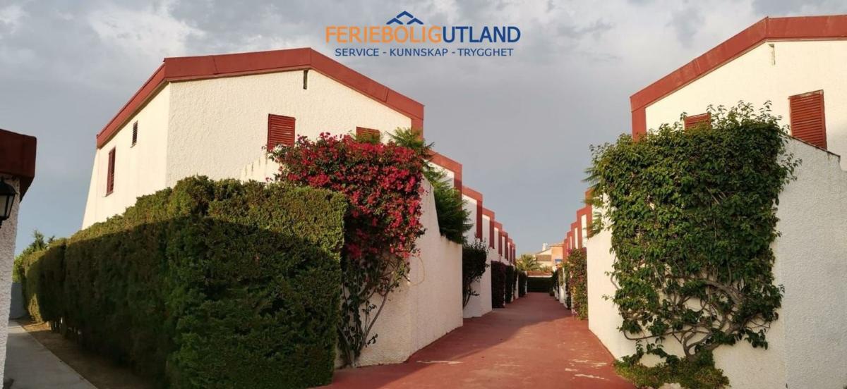 Properties for sale and rent in Spain photo 3
