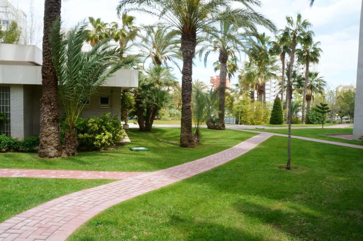 Sale of apartment in Piso en Avenida de la Costa Blanca, 102, Cabo de las Huertas, Alicante / Alacant, Alicante
 photo 3