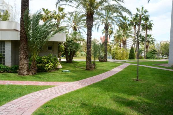 Venta de piso en Piso en Avenida de la Costa Blanca, 102, Cabo de las Huertas, Alicante / Alacant, Alicante / Alacant
thumbnail 3