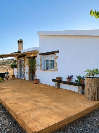 Finca rústica en venta en Finca rústica en Camino Finca La Caholla s/n, Moralet , Moralet photo 1