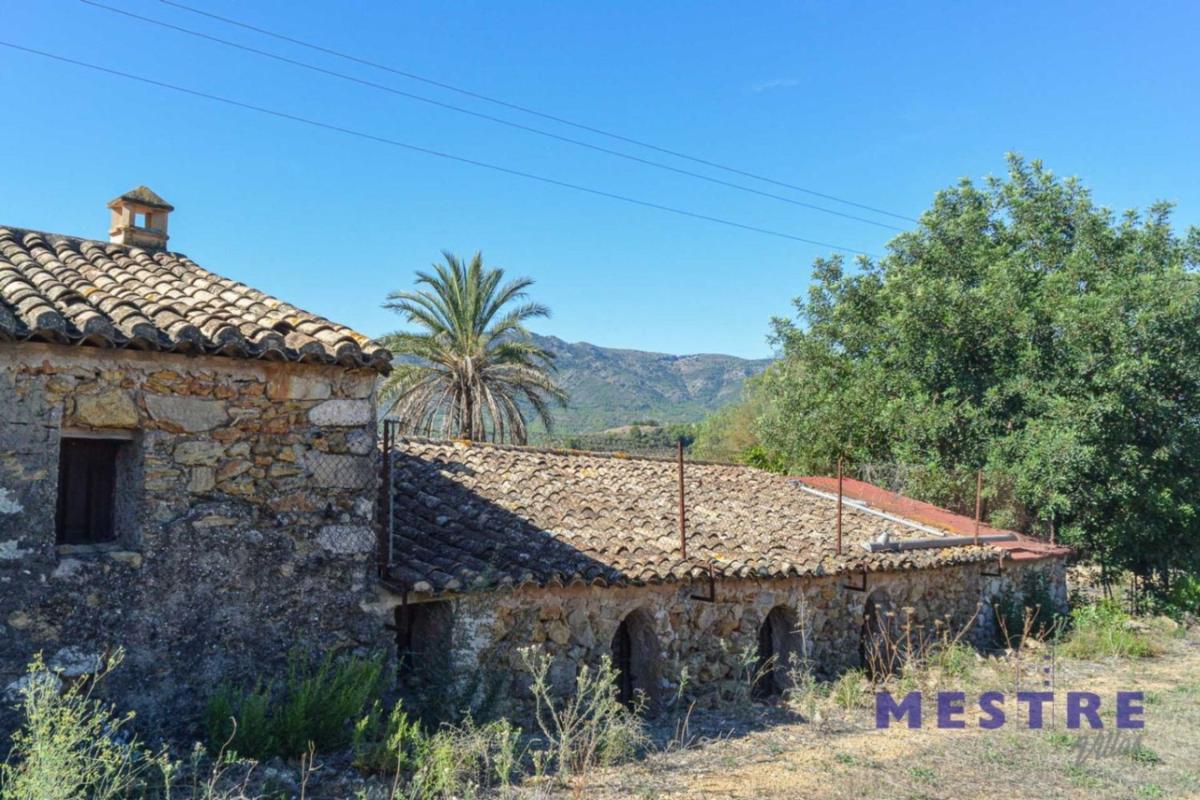 Продажа загородного участка в  Finca rústica en Alcalalí , Алкалави photo 4