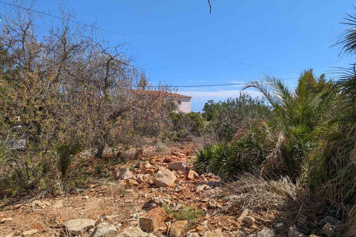 Terreno en venta en Denia, Alicante photo 3