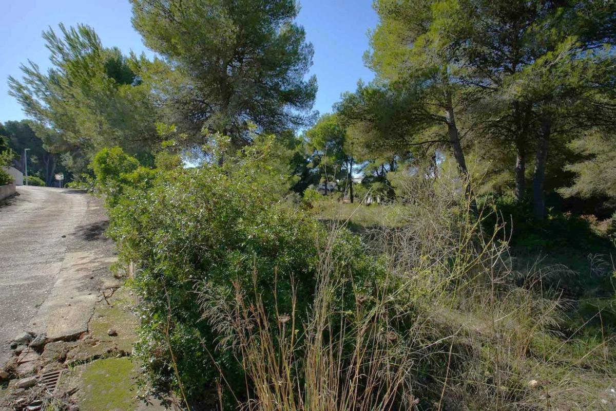 Terreno en venta en Jávea/Xàbia, Alicante photo 4