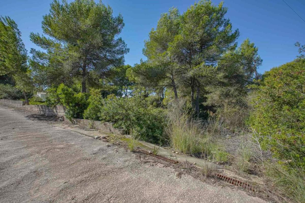 Terreno en venta en Jávea/Xàbia, Alicante photo 5