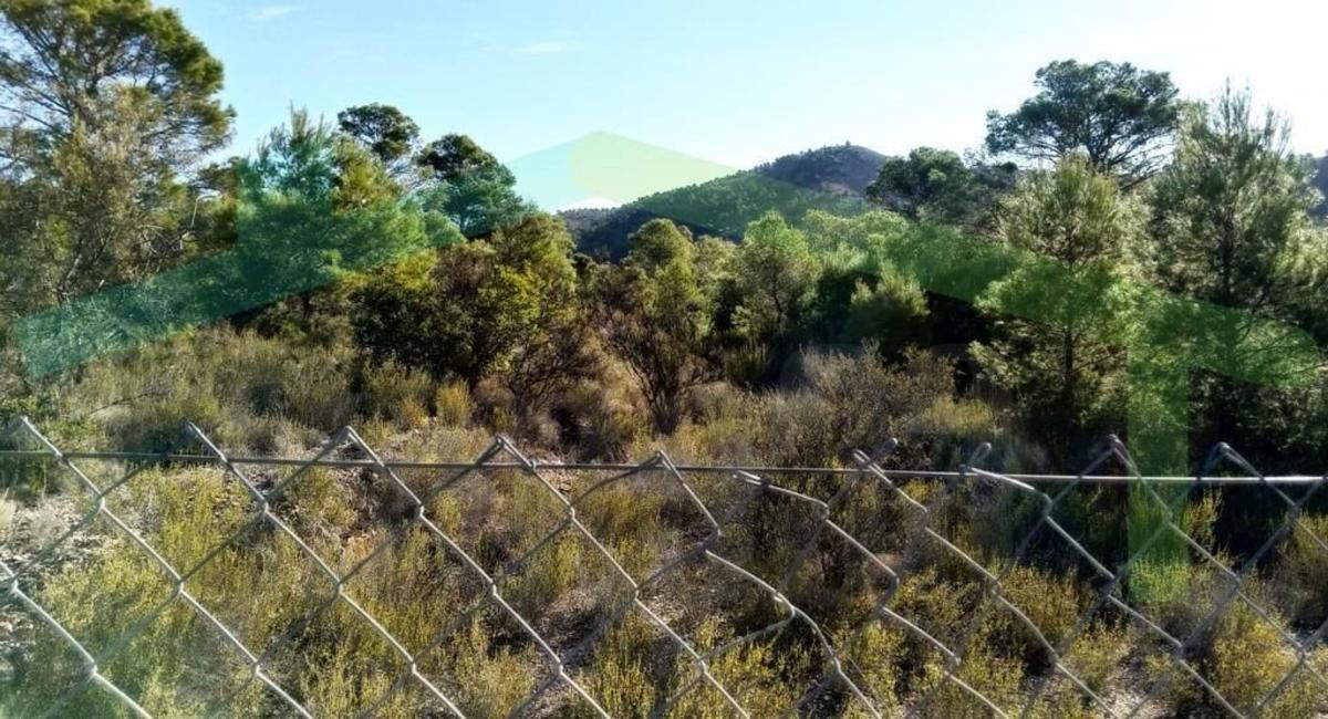 Land for sale in La Villajoyosa / Vila Joiosa, Alicante photo 5