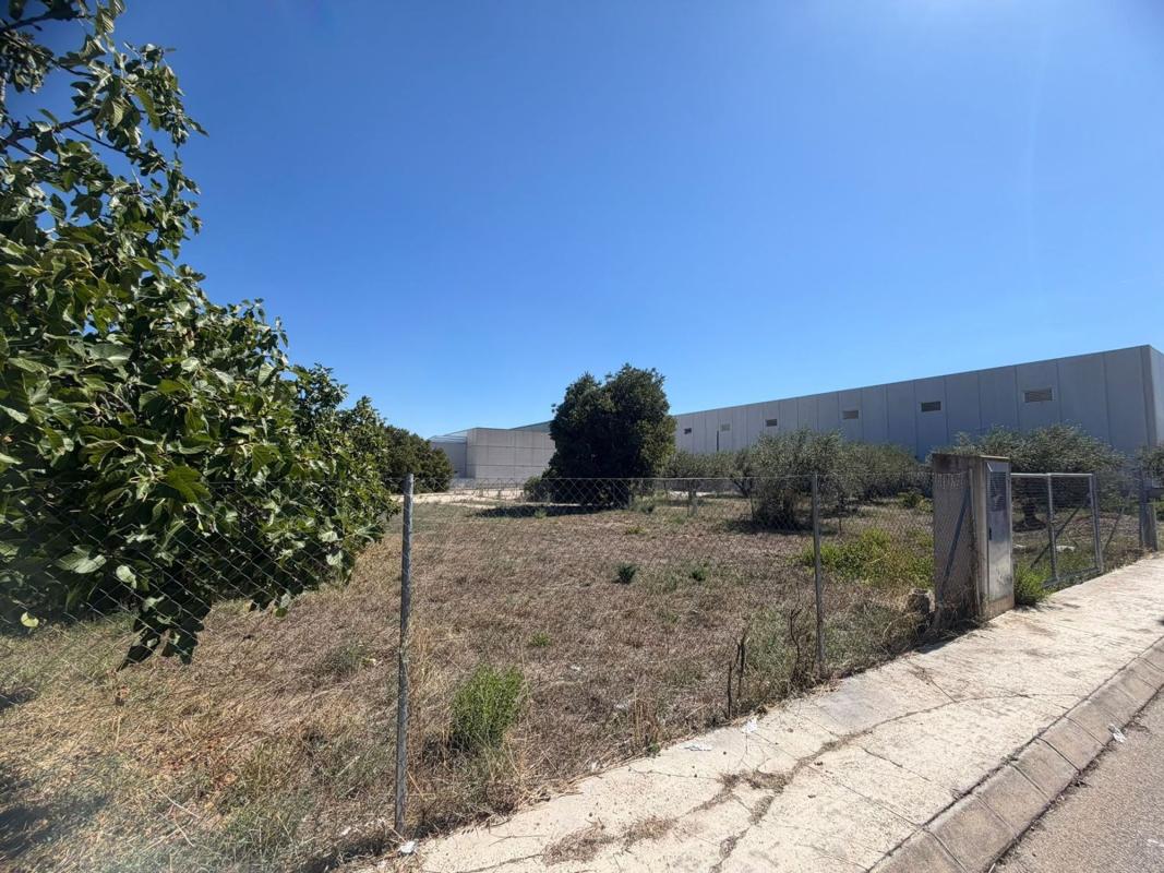 Land for sale in Wall of Alcoy, Alicante photo 3