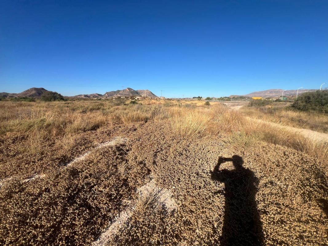 Terreno en venta en Agost, Alicante photo 4