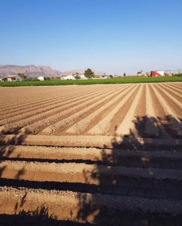 Terreno en Vereda liorna s/n, Desamparados-Hurchillo-Torremendo, Orihuela photo 1