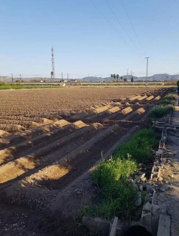 Terreno en venta en Orihuela, Alicante photo 4
