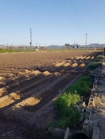 Terreno en Vereda liorna s/n, Desamparados-Hurchillo-Torremendo, Orihuela photo 4