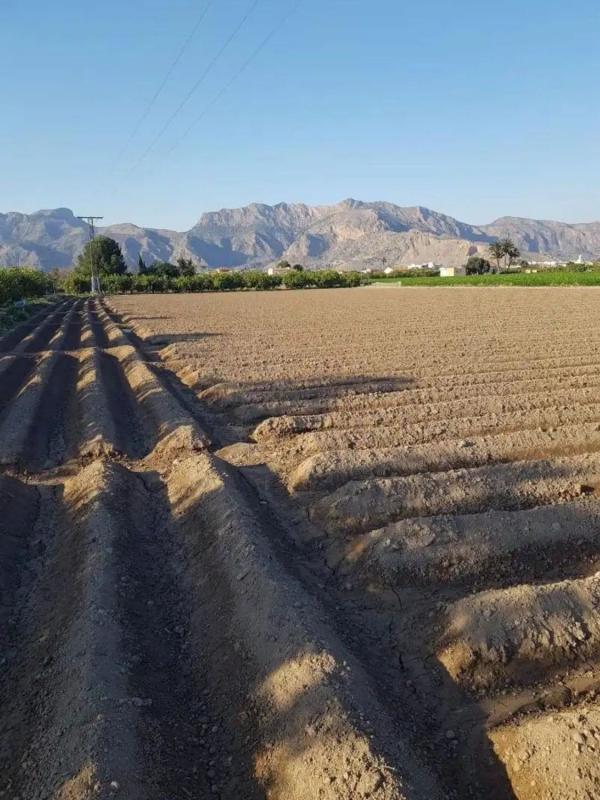 Terreno en venta en Orihuela, Alicante photo 5