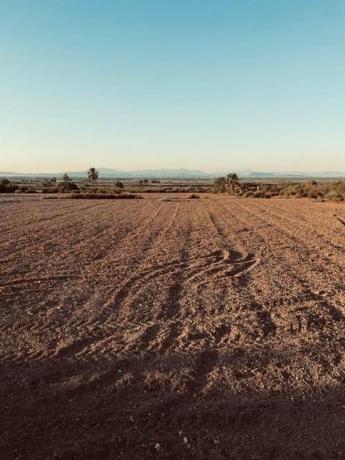 Terreno en Calle Holanda, La Marina, Elche / Elx thumbnail 2
