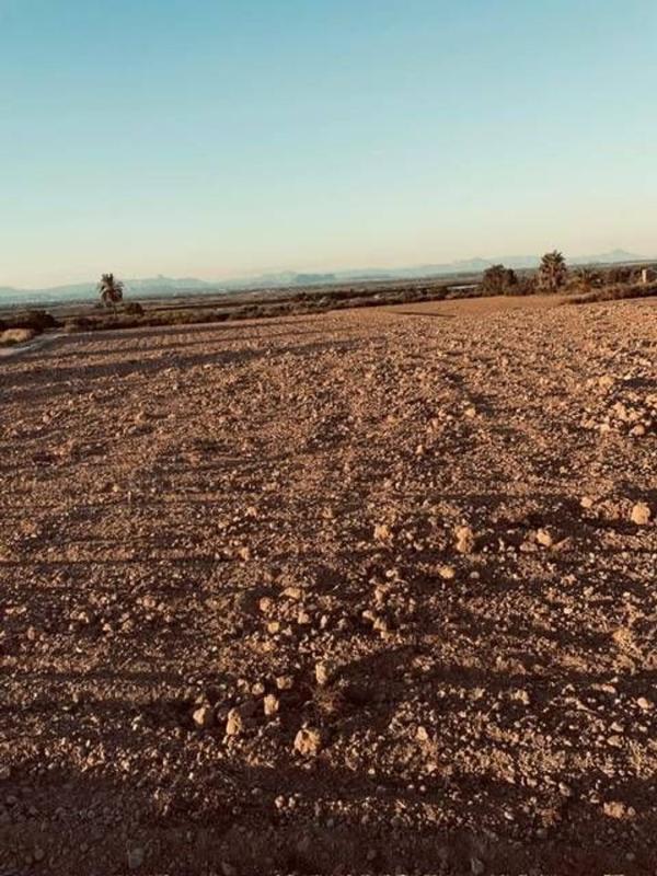 Land for sale in Elche / Elx, Alicante photo 1