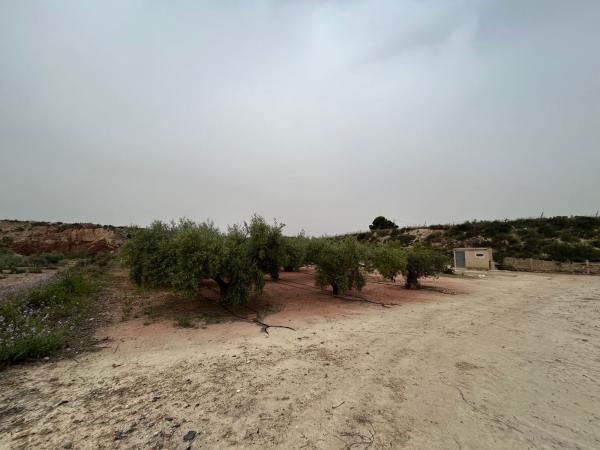 Terreno en Partida Sol del Camp, Agost photo 4