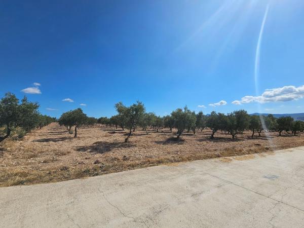 Terreno en Rambla alta s/n, Onil thumbnail 3