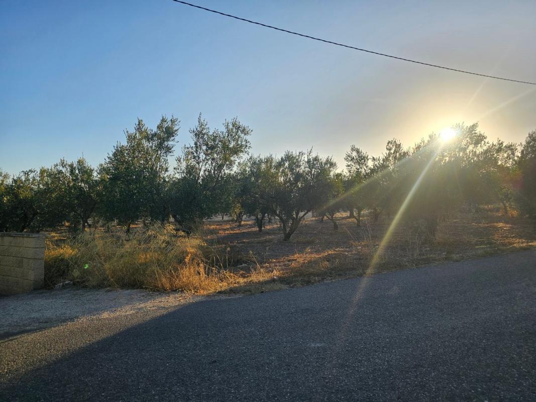 Land for sale in Onil, Alicante photo 1