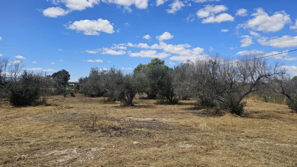Rustic farm for sale in  Finca rústica en Lugar la Hoya, La Hoya-Daimes-El Derramador, Elche / Elx , Elche / Elx photo 4