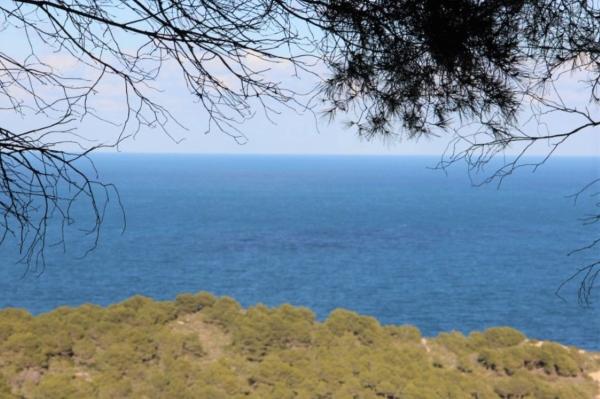 Частный шале на продаже в Casa o chalet en La Granadella - Costa Nova, Jávea/Xàbia, Хавья/Хабия thumbnail 3