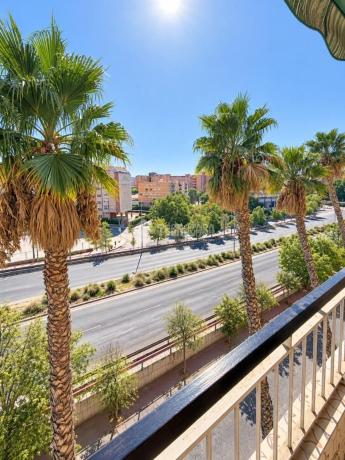 Sale of flat in Piso en Gran Vía Conde de Casa Rojas, La Florida Portazgo, Alicante / Alacant, Alicante
photo 1