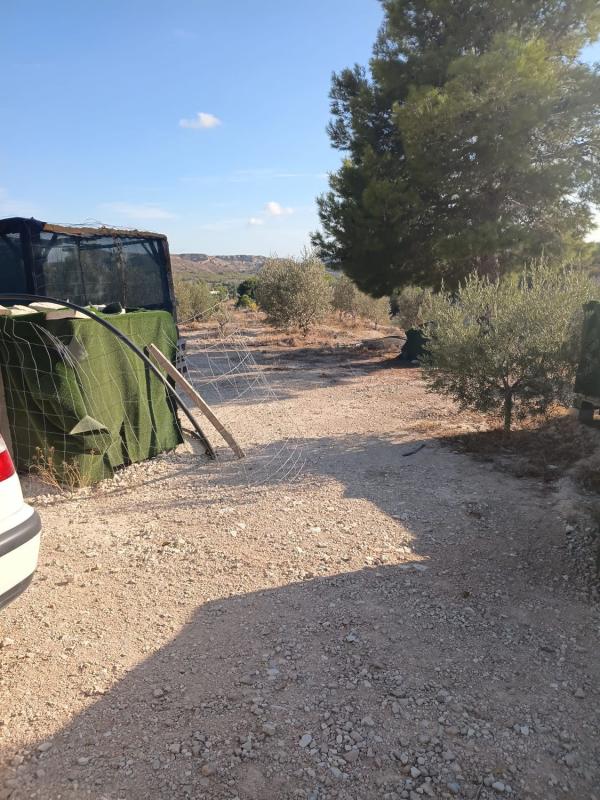 Terreno en venta en Agost, Alicante photo 2