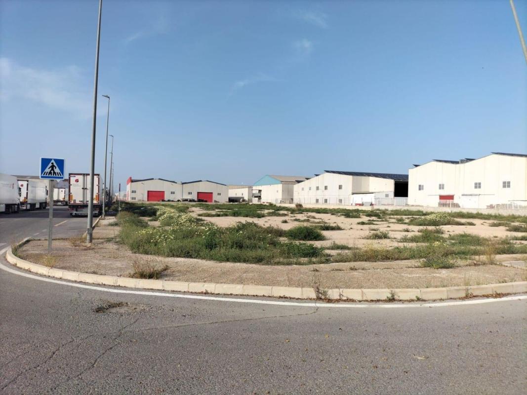 Działka na sprzedaż w Almoradí, Alicante photo 3