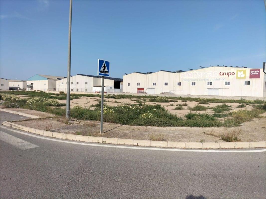 Działka na sprzedaż w Almoradí, Alicante photo 4