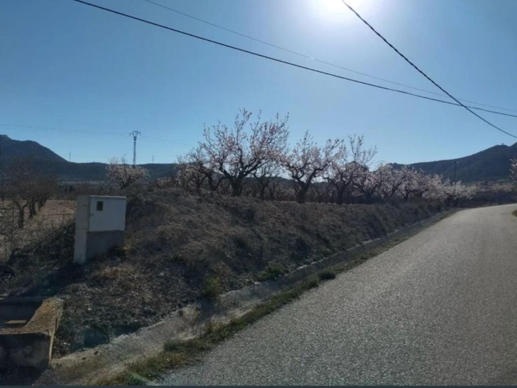 Land for sale in Hondón de los Frailes, Alicante photo 3