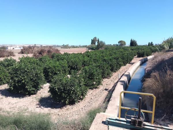 Terreno en Cv-920 s/n, Puerto Deportivo, Guardamar del Segura photo 1