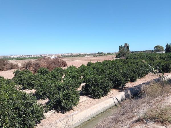 Terreno en Cv-920 s/n, Puerto Deportivo, Guardamar del Segura photo 3